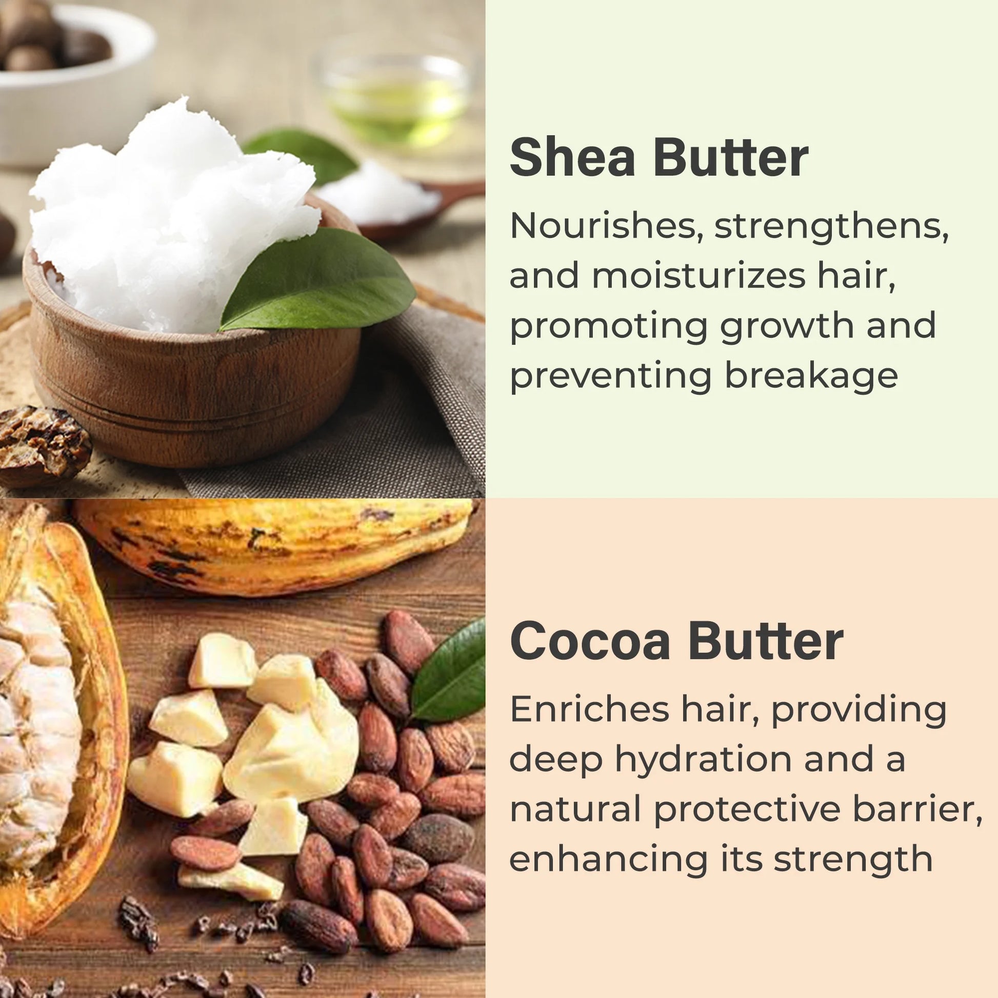 Rosemary Mint Herbal Solid Shampoo Bar for Hair Growth Handmade in USA Natural and Safe by