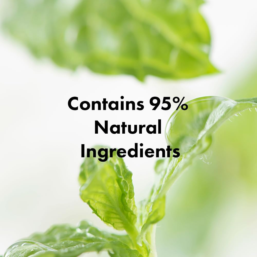 Real Mary Exfoliating Dry Scalp Shampoo, 13.52 Fl Oz - Organic Rosemary Hair for Itchy , Gentle Scalp Moisturizer, with Ginger & Peppermint Oil