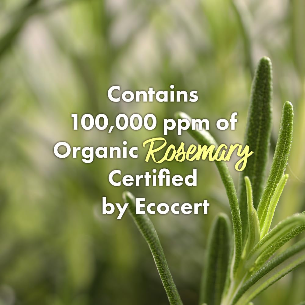 Real Mary Exfoliating Dry Scalp Shampoo, 13.52 Fl Oz - Organic Rosemary Hair for Itchy , Gentle Scalp Moisturizer, with Ginger & Peppermint Oil