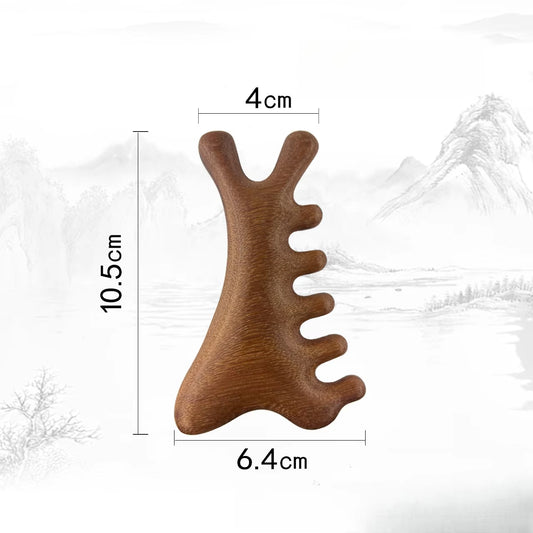 Specialized round Head Massage Comb | Stimulate Scalp Circulation for Hair Growth | Anti-Static Wide Tooth Design